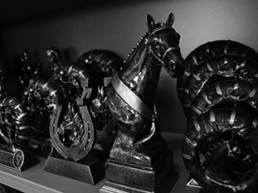 Equestrian